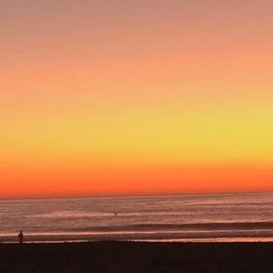 Meet your Posher, Paulina